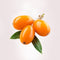Sea buckthorn beauty berry also known as seaberry